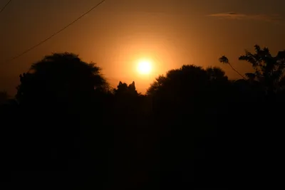 DSC_2658 (Large).JPG